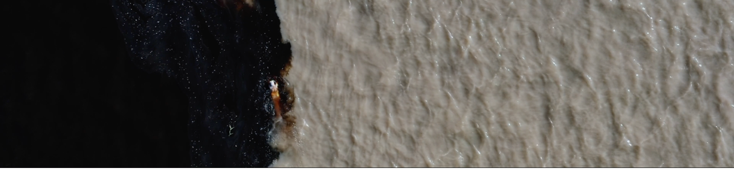 ArticleAndrade Fig 5